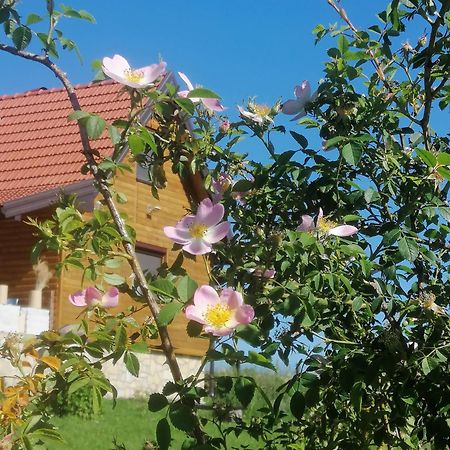 Ferienwohnung Tarin Zov Kaludjerske Bare Exterior foto