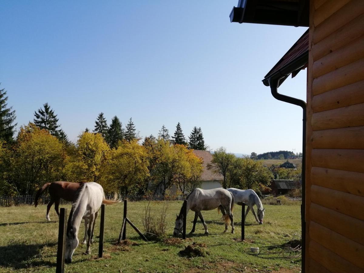 Ferienwohnung Tarin Zov Kaludjerske Bare Exterior foto